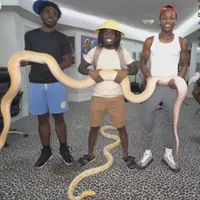 Đám Pokemon của Aino brocon