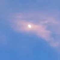 đa nhân vật nữ/ Nam+ Đa nghề làm 