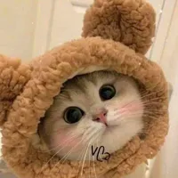 Hệ thống _ Nhyzn