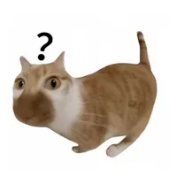 suu