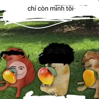 t/g