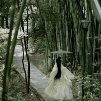 thẩm vy