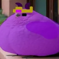 biggest bird