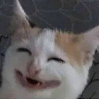 hai đứa TG