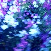 °●~¿¡《♤♧◇♡》¡¿~○•