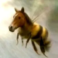 ??????