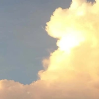 All