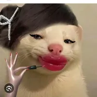 T/g