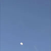？？？