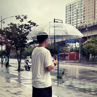 Nguyễn Đình Bắc