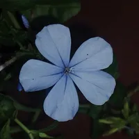 nhân vật chưa biết👀