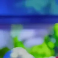 mọi người 