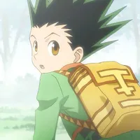 Gon Freecss