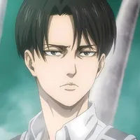 Levi