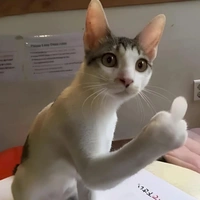Tác sai đẹp chiêu
