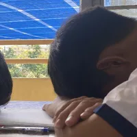 Vũ