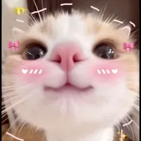 Yuhino👾