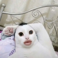 cả đám