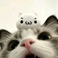 @meoiudunglachill