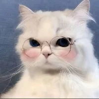 tg