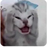 t/g