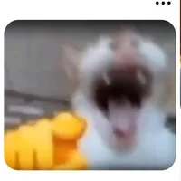 ????