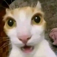 dilywel