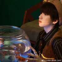 Thiếp vĩ thần
