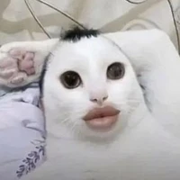 Đọc giả là thượng đế