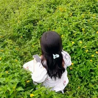tác giả vui tính