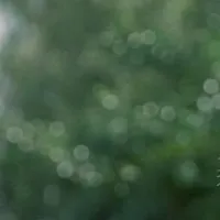NVP