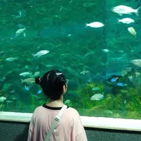 Ngọcc