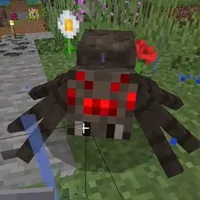 spider