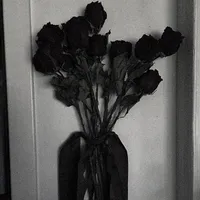 Hệ Thống - 𝐥ƻ𝟓𐒇
