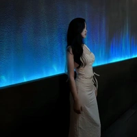 Trần Phương Linh- vợ hắn