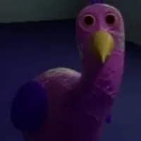 Opila Bird (con chim cục súc)