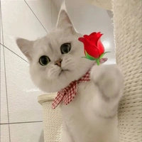 đứa dẫn chuyện