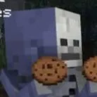 skelly_em