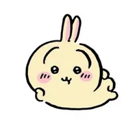  ✨Usagi🍮🎀