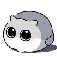 Hệ thống 067