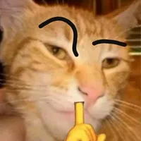 T/g