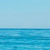 t/g