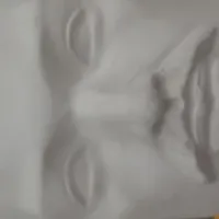 phóng viên