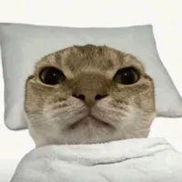t/g