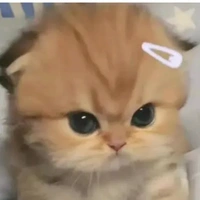 những đứa có ở đó 