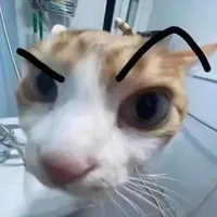 thk tác lười ra chap
