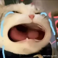 t\g xì lây