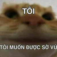 tg nè ,hẹ hẹ hẹ
