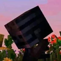 wither_anh