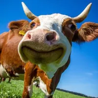 t/g  (họa sĩ) họa chx thấy  chỉ thấy sĩ
